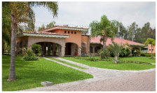 SERVICIOS